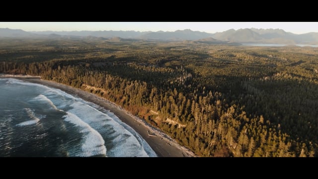 Color Grading nature documentaries with FilmConvert - FilmConvert ColorHub